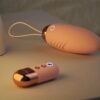 图片1 LY35-Vibrator Portable Jump